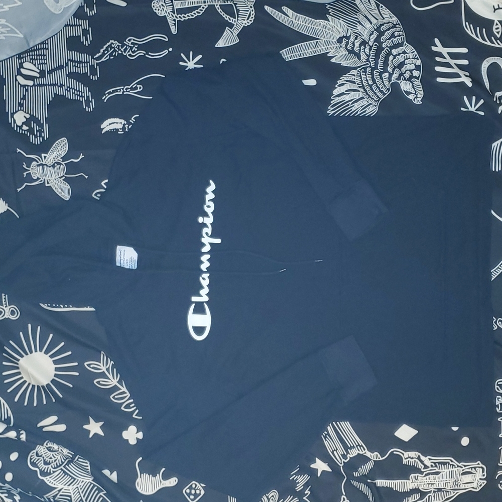 Champion mens hoodie
